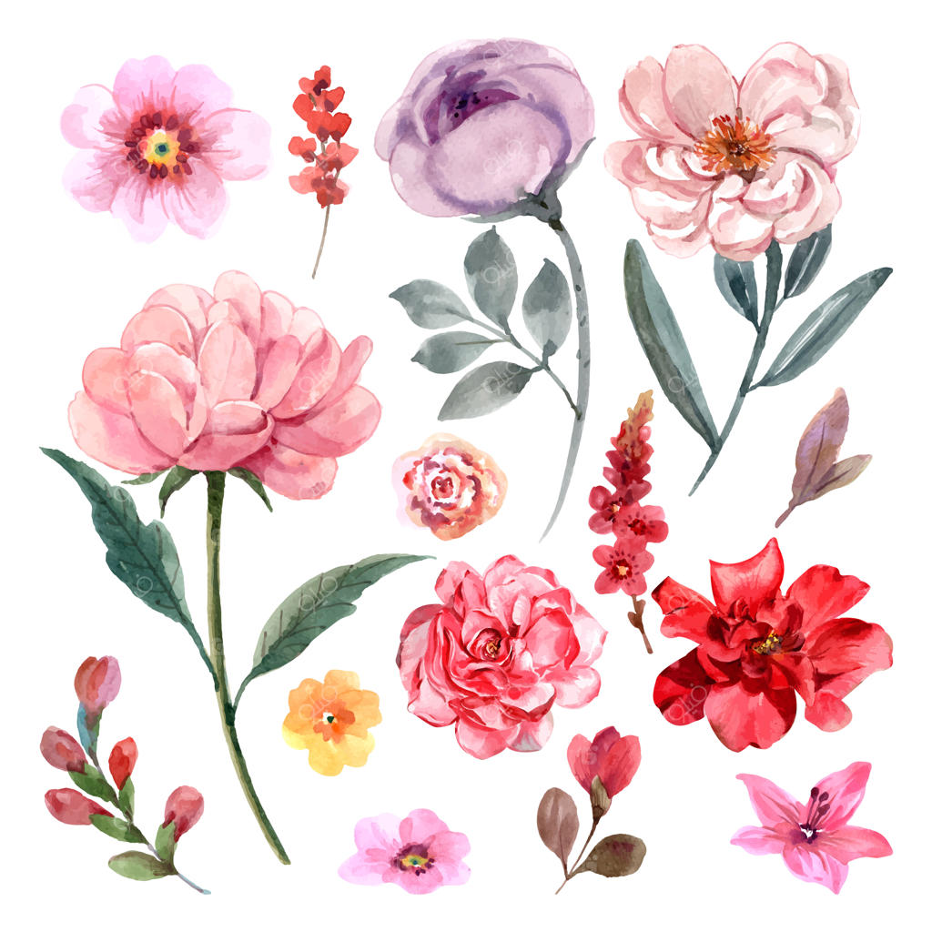 مجموعه زیبای وکتور گل‌های دست‌کشیده وینتیج