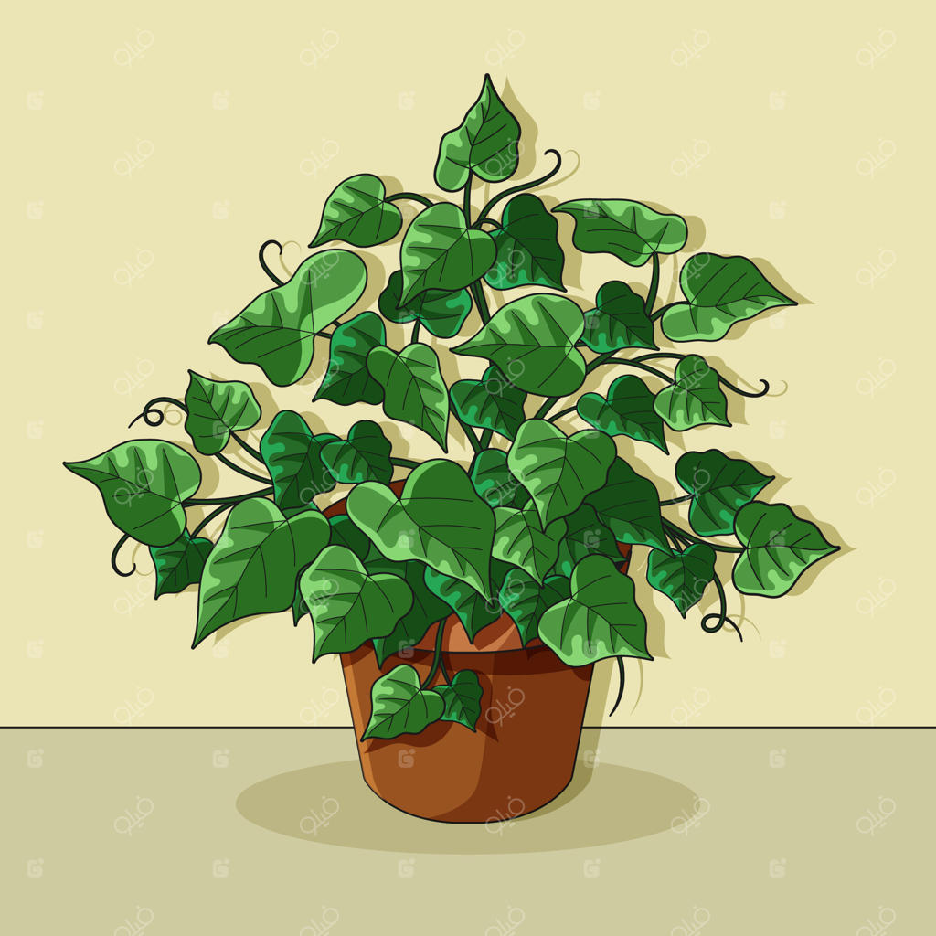 تصویرسازی پیچک دست‌ساز