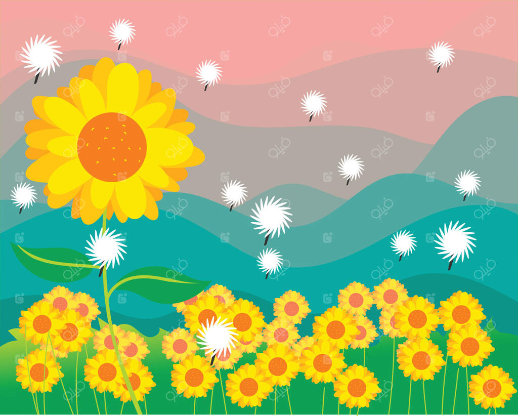 باغ گل آفتابگردان با پس‌زمینه غروب