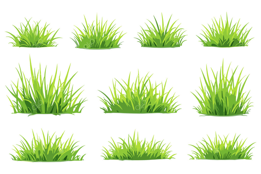 مجموعه طرح وکتور چمن سرسبز