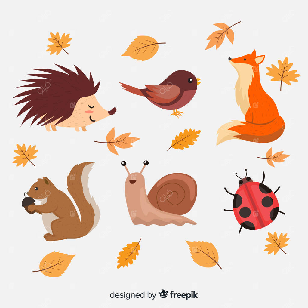 مجموعه‌ای از حیوانات جنگل در پاییز به سبک نقاشی مسطح