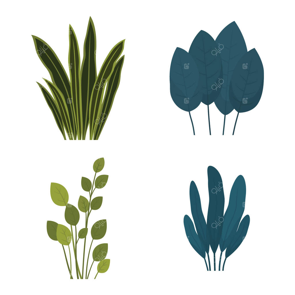 عناصر برگ‌های تازه، شاخ‌ و برگ و گیاهان طبیعی در باغ پارک