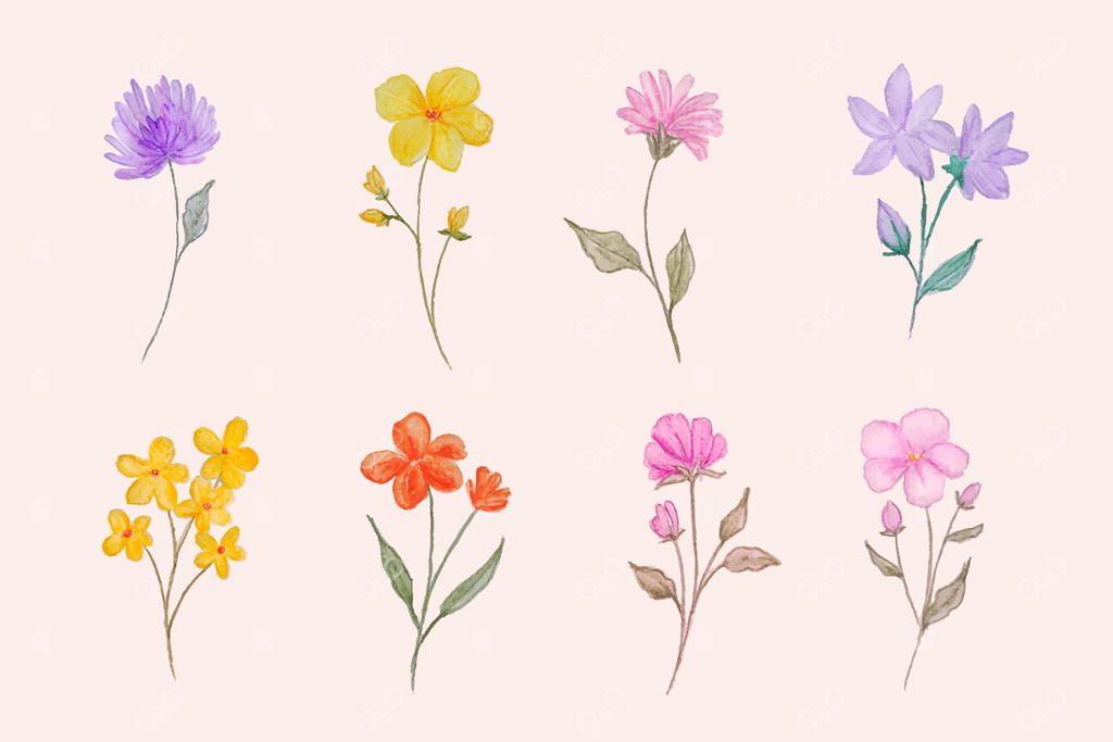 مجموعه گل‌های نقاشی دستی