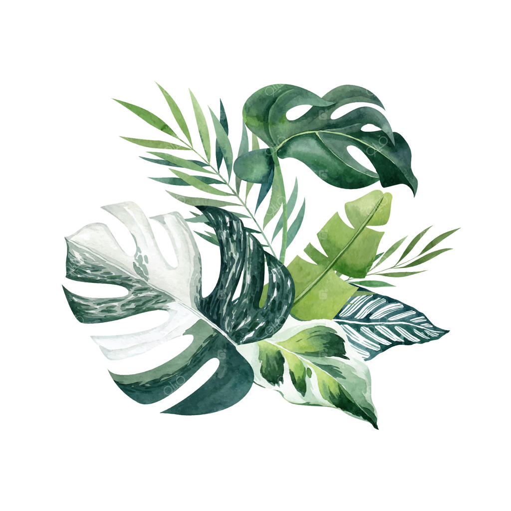 تصویر برداری دسته گل برگ‌های گرمسیری با آبرنگ، جدا شده روی پس‌زمینه سفید