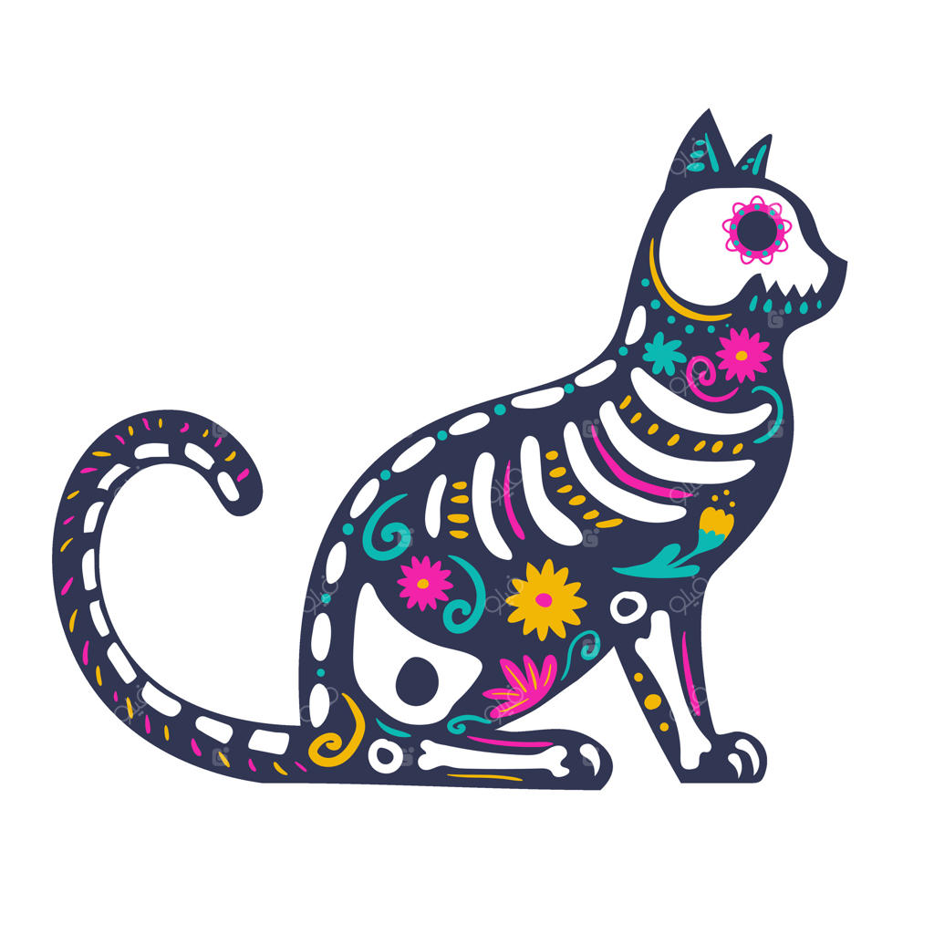 نمای کناری اسکلت یک گربه که با گل‌ها و عناصر تزیینی آراسته شده است. حیوان جشنواره‌ای برای روز مردگان مکزیکی، دیاس دی لوس موئرتوس.