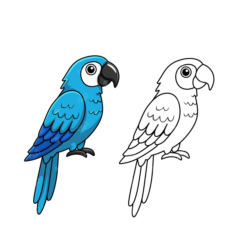تصویرسازی طوطی در دو سبک: طراحی خطی و نسخه رنگارنگ. مناسب برای کتاب رنگ‌آمیزی، طراحی آموزشی، هنر کودکان یا تصویرسازی حیوانات.