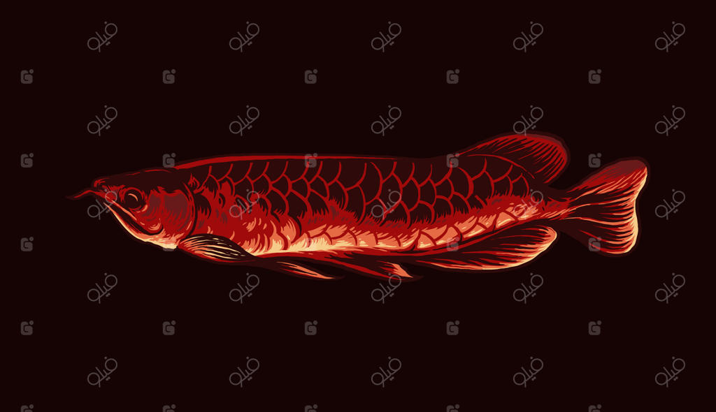 تصویرسازی ماهی آروانا