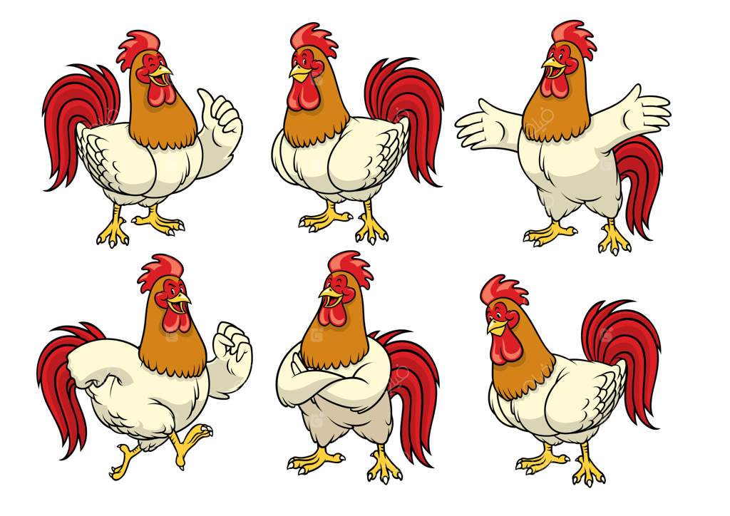 مجموعه خروس با سبک کارتونی