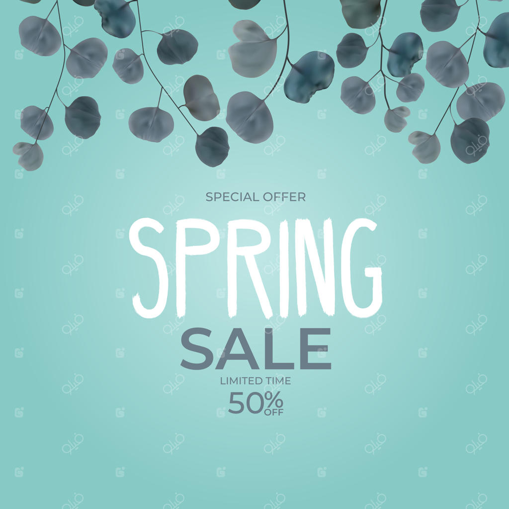 فروش واقعی بهاره برگ‌های اوکالیپتوس - پیشنهاد ویژه