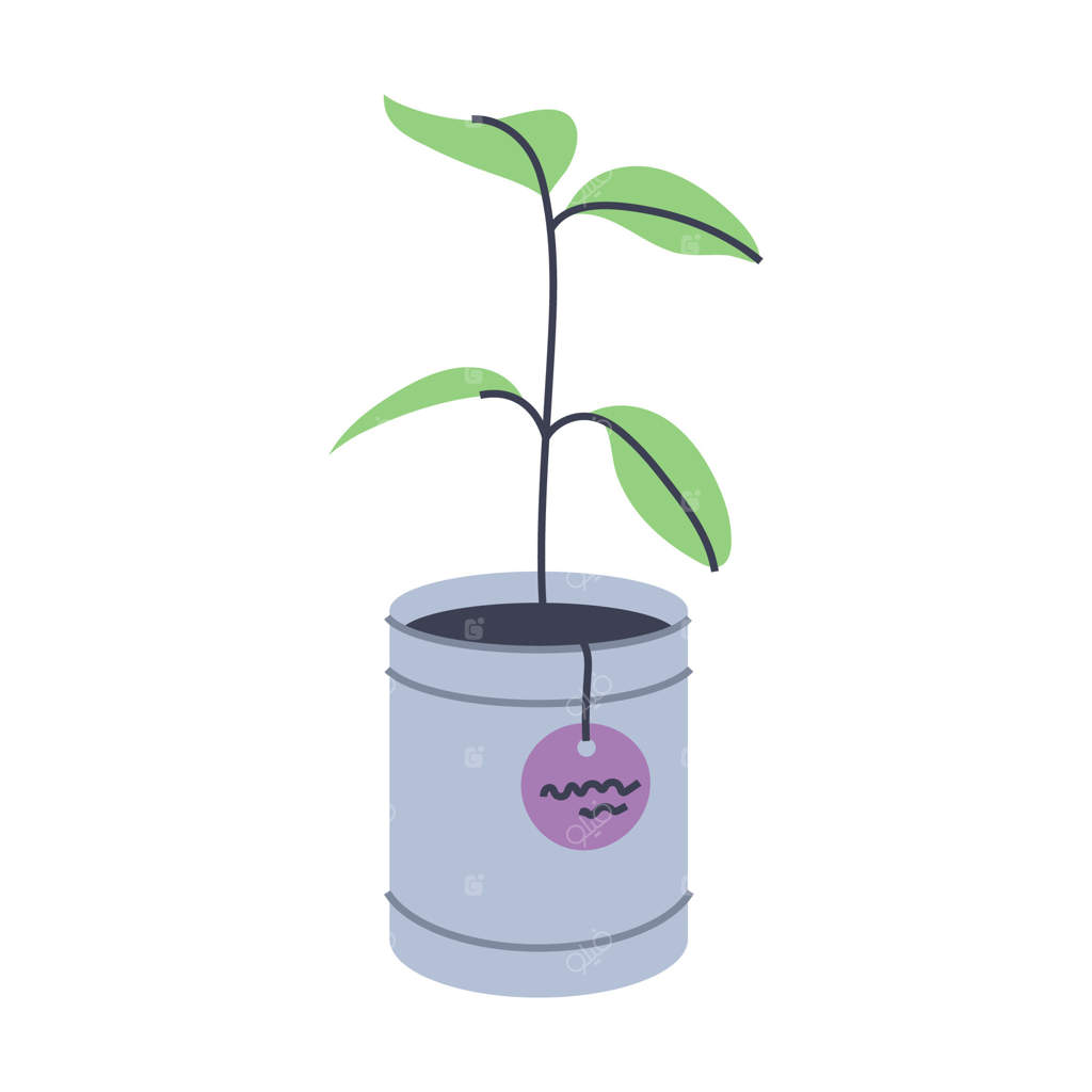 نهال در گلدان. گیاه باغی. عنصر گرافیکی ساده برای طراحی‌های بهار و تابستان.