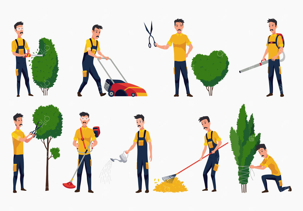 باغبان‌های حرفه‌ای با ابزارهای مختلف در حال رسیدگی و مراقبت از گیاهان و چمن