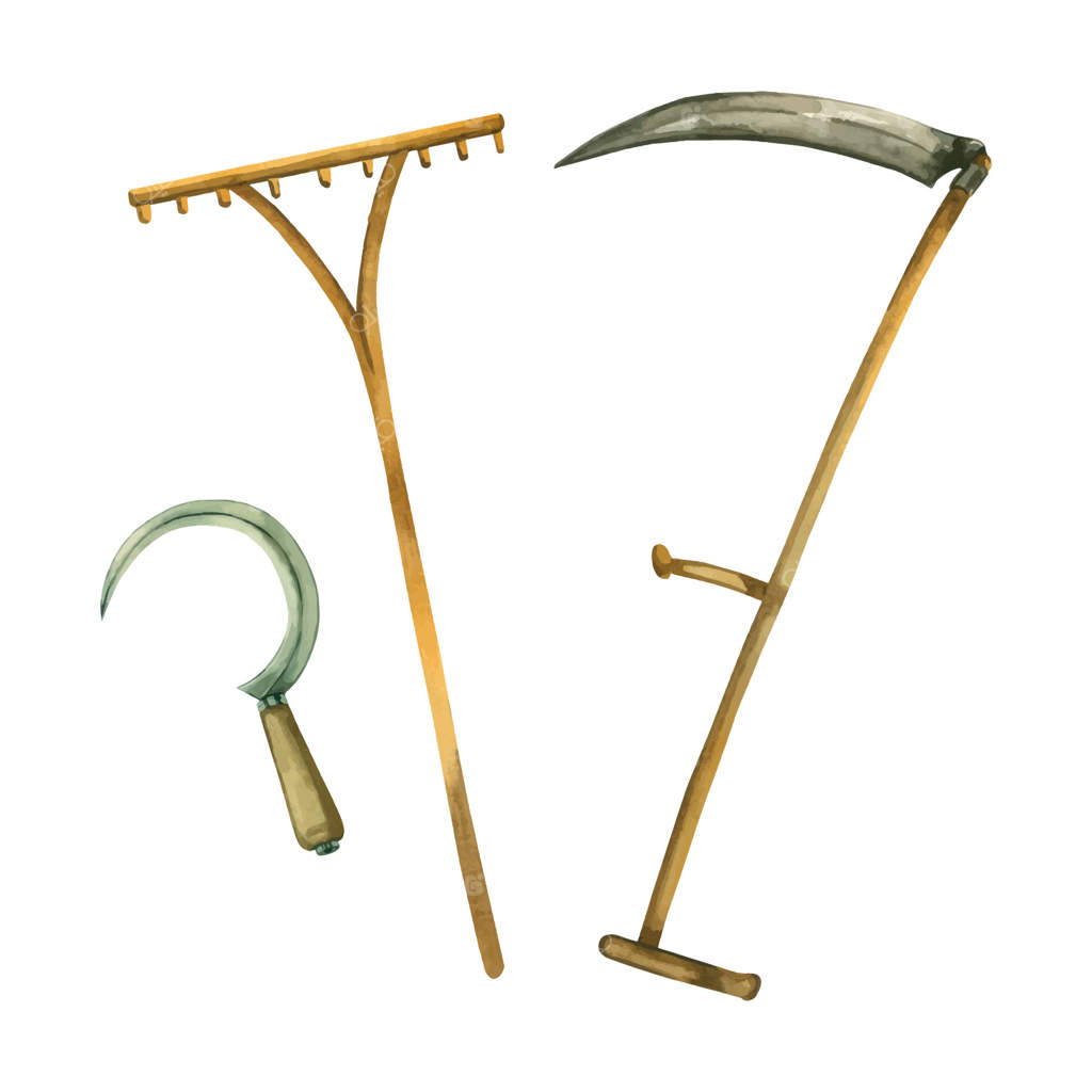 ابزار باغبانی، ابزارهای قدیمی درو، داس فلزی، داس بزرگ، شن کش چوبی، همه این اشیاء با آبرنگ نقاشی شده‌اند. مناسب برای طراحی، خلاقیت، چاپ بر روی پارچه و کاغذ