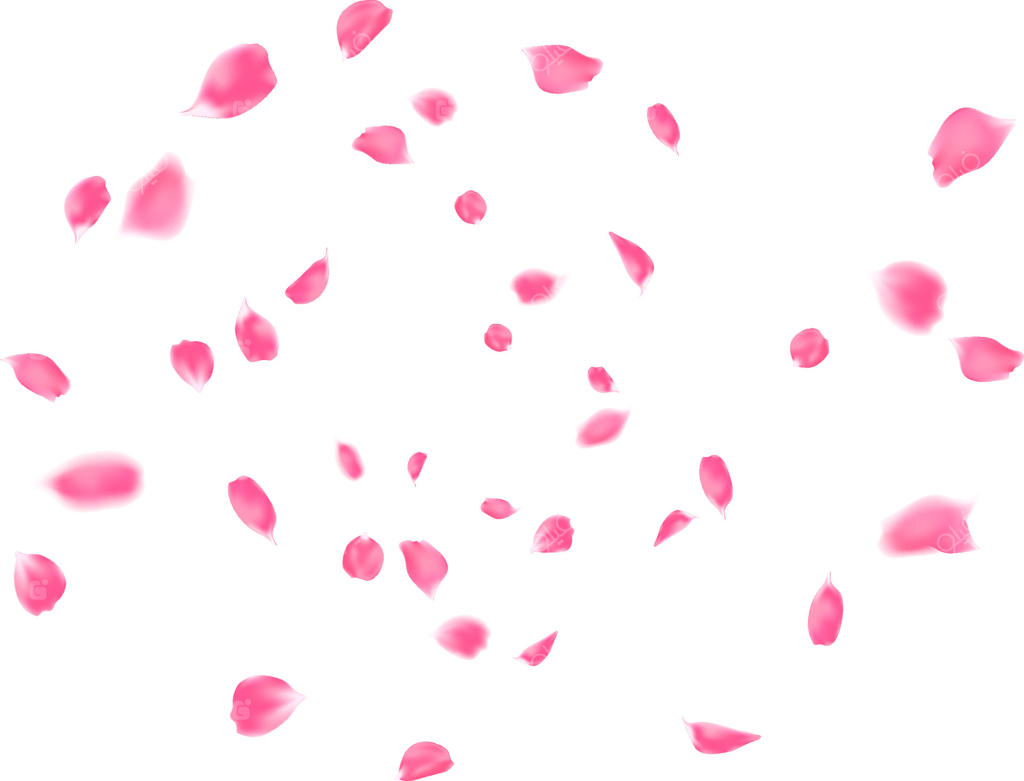 طراحی چرخشی گلبرگ‌های گل رز صورتی بر روی پس‌زمینه شفاف.