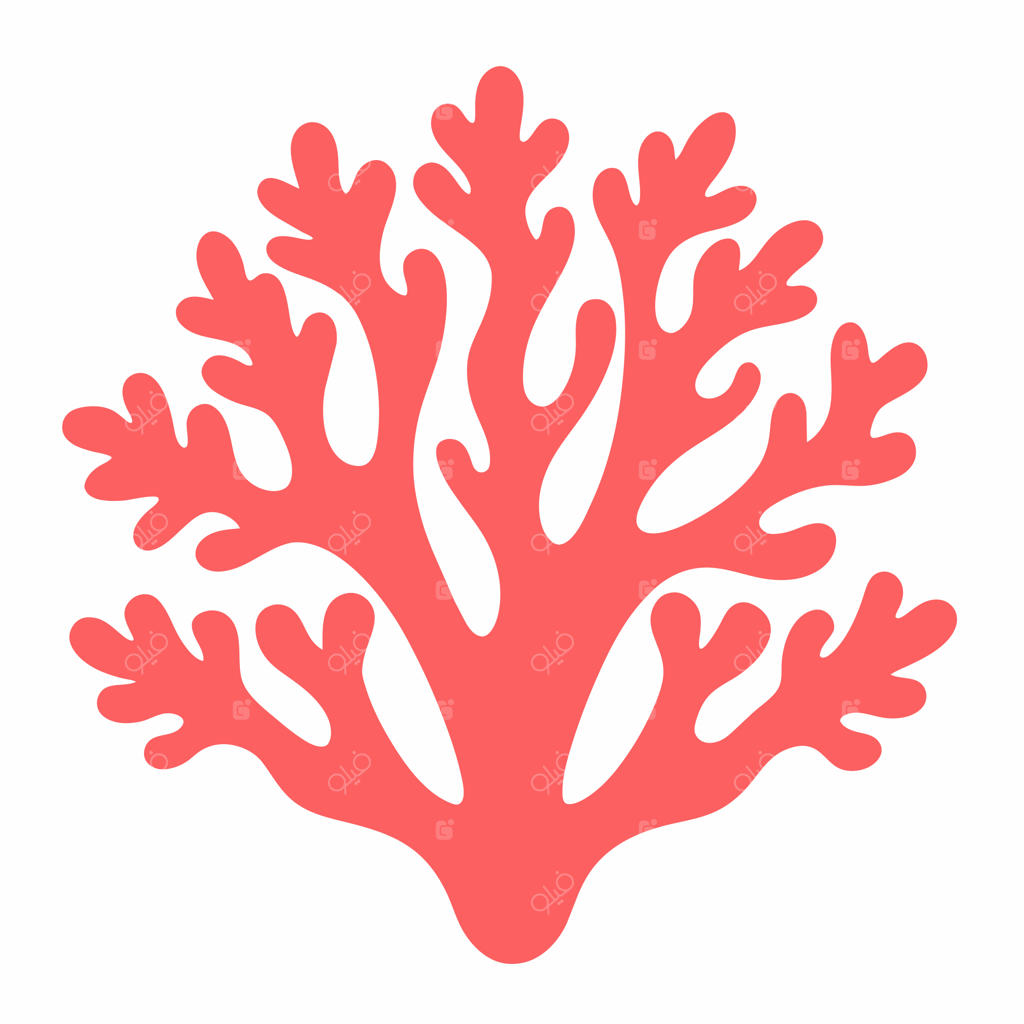 تصویرسازی و کلیپ‌آرت طرح مرجان با پس‌زمینه سفید یکدست