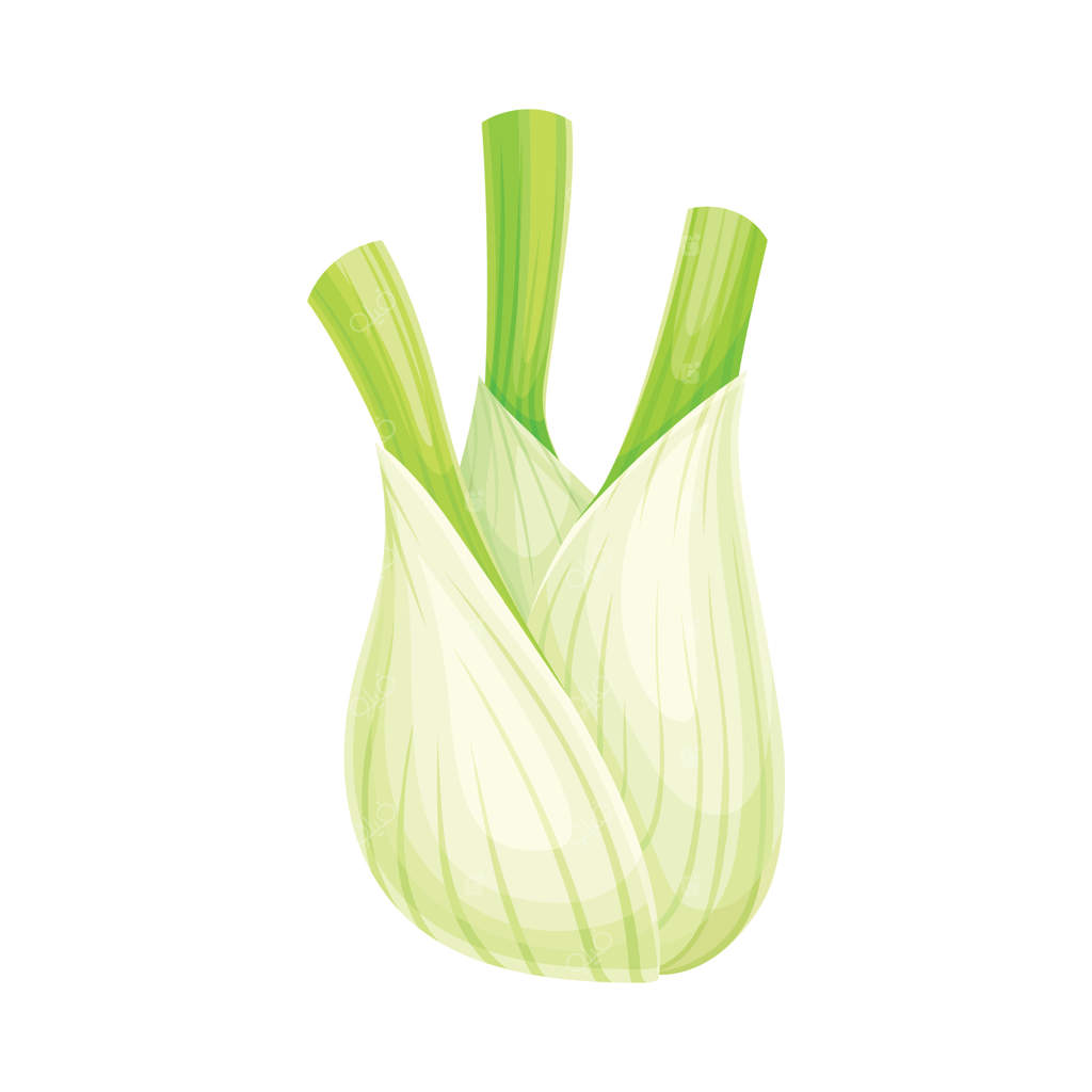 تصویر نزدیک از رازیانه رسیده: غذای سالم و کشت در باغ