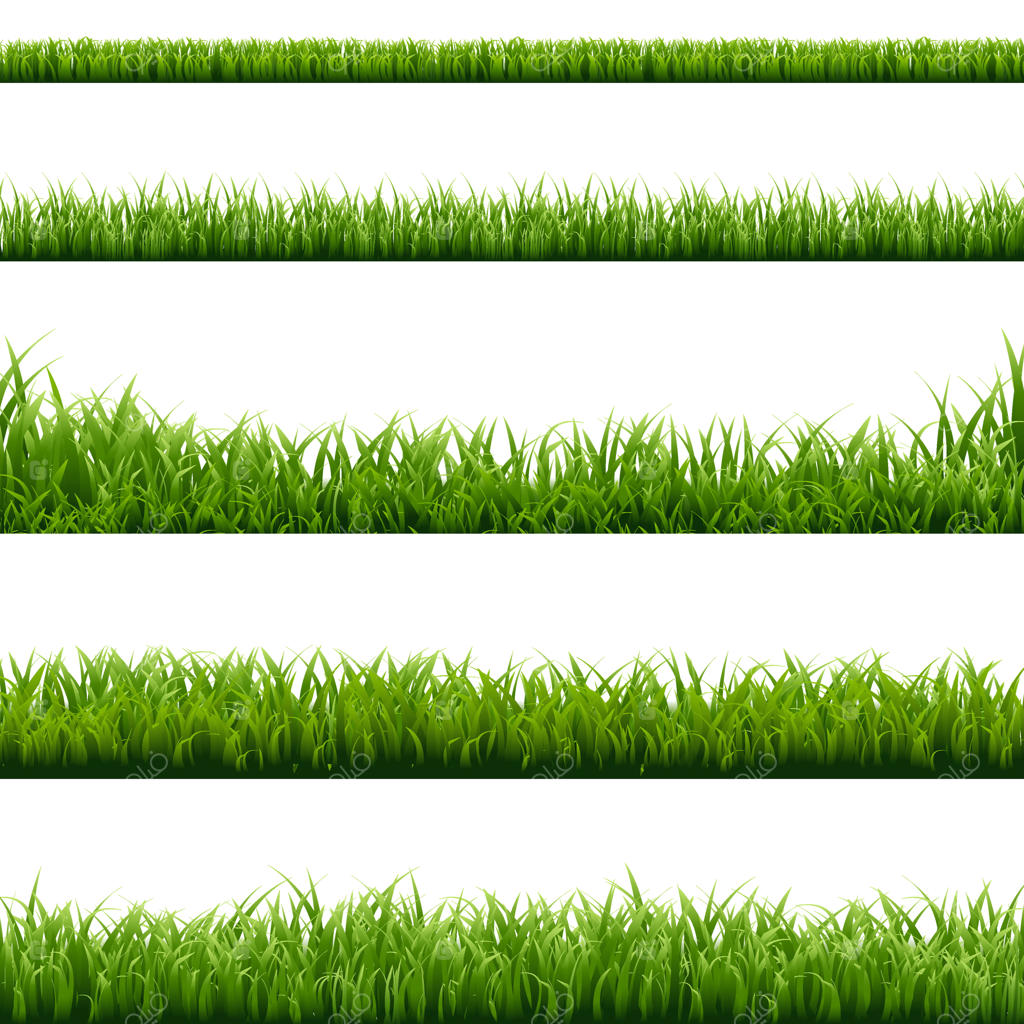 مجموعه بزرگ چمن سبز