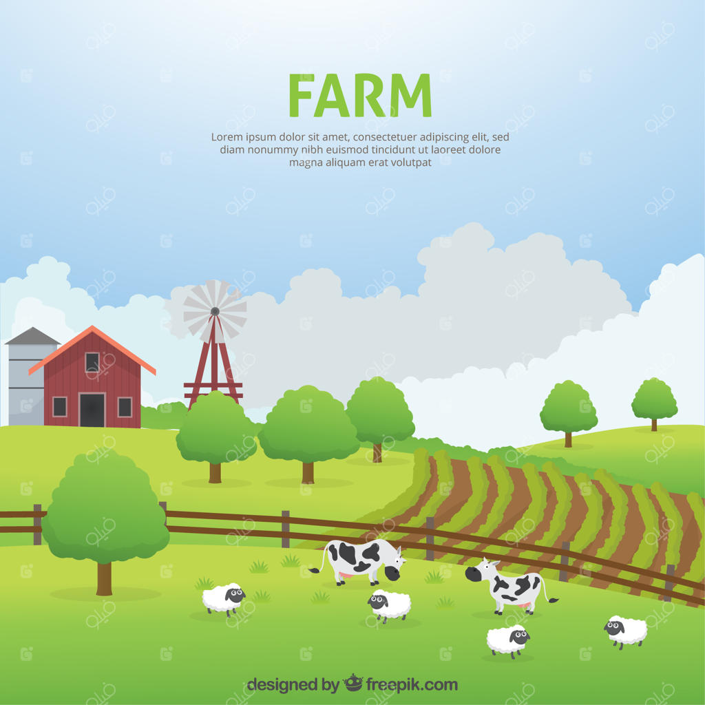 منظره زیبا از مزرعه با حیوانات