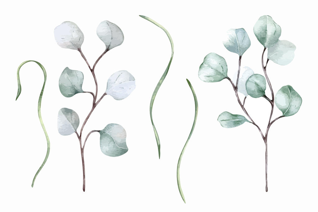 تصاویر زیبای آبرنگی از شاخ و برگ سبز برای پروژه‌های هنری وکتور حرفه‌ای
