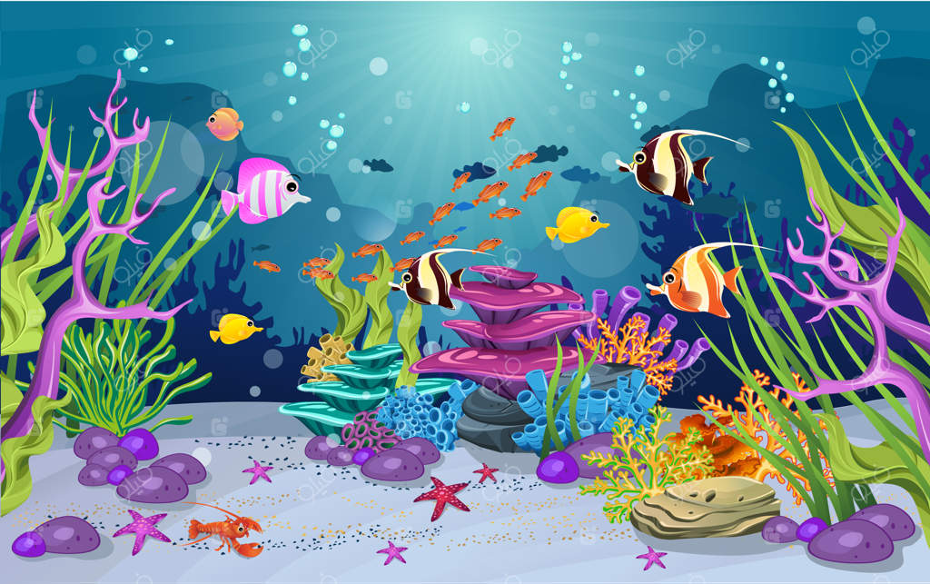 زیستگاه‌های دریایی و زیبایی صخره‌های مرجانی