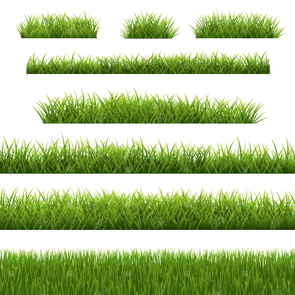 مجموعه حاشیه چمن با پس‌زمینه سفید