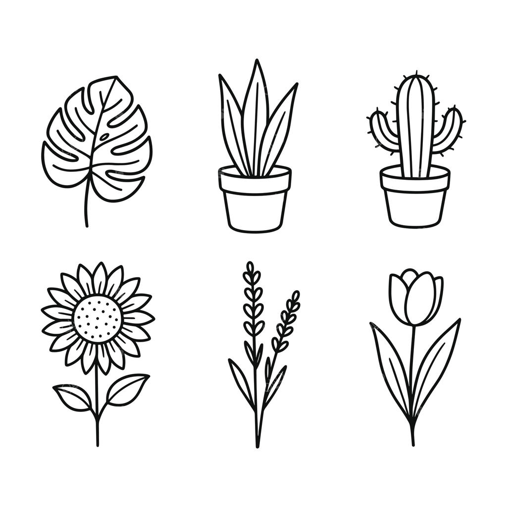 ست آیکون گیاهی سیاه و سفید: گل‌ها، گیاهان و برگ‌ها به صورت خطی