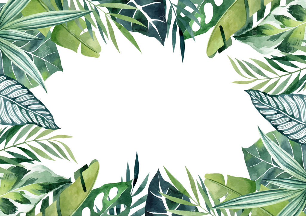 قاب مستطیلی با طرح آبرنگی برگ‌های گرمسیری و فضای خالی برای نوشتن