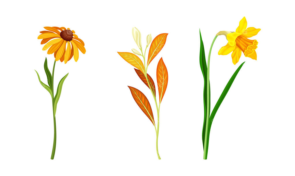 گل‌های زیبا به رنگ نارنجی با گل همیشه‌بهار و نرگس روی ساقه