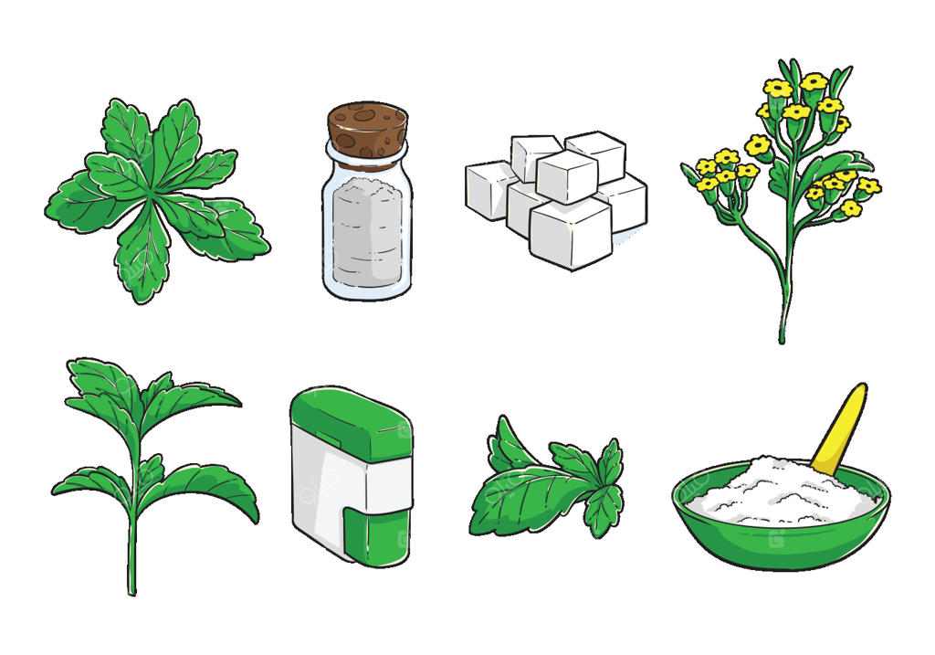 وکتور رایگان طرح دستی استویا