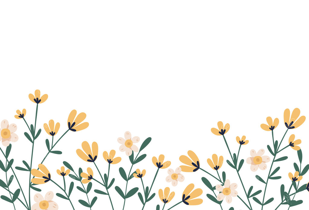 پس‌زمینه گیاهی افقی با حاشیه‌ای از گل‌های زرد ظریف و شکوفا. تصویر‌سازی برداری تخت گل‌ها روی پس‌زمینه سفید.