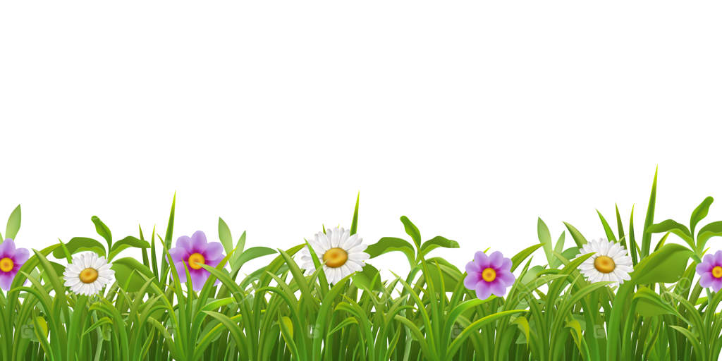 مرز گل‌های چمن واقعی