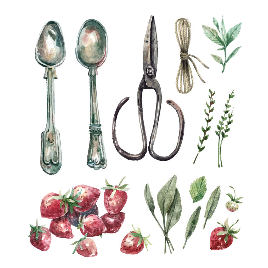 مجموعه‌ای از نقاشی‌های آبرنگی