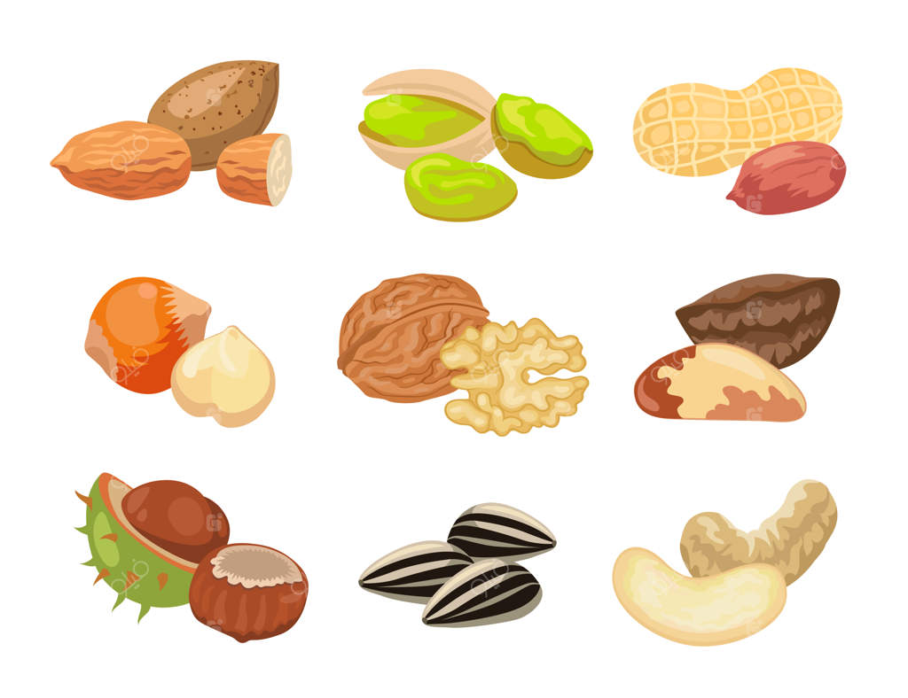 مجموعه‌ای از تصاویر انواع آجیل: بادام، فندق، پسته، بادام هندی، تخمه آفتابگردان، بادام زمینی و گردو. تصاویر بر روی پس‌زمینه سفید