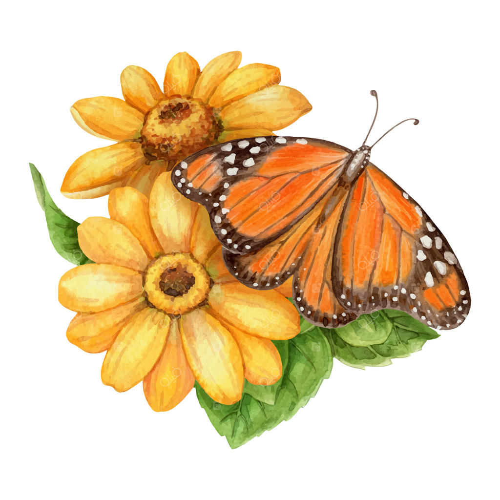 دسته‌گل زرد و ترکیب تابستانه با پروانه شَه‌بال. هنر دستی با آبرنگ و نقوش گلی و برگی. عنصر گرافیکی با حس و حال تعطیلات و مناسب برای طراحی کارت‌ها و طرح‌های فصل تعطیلات.