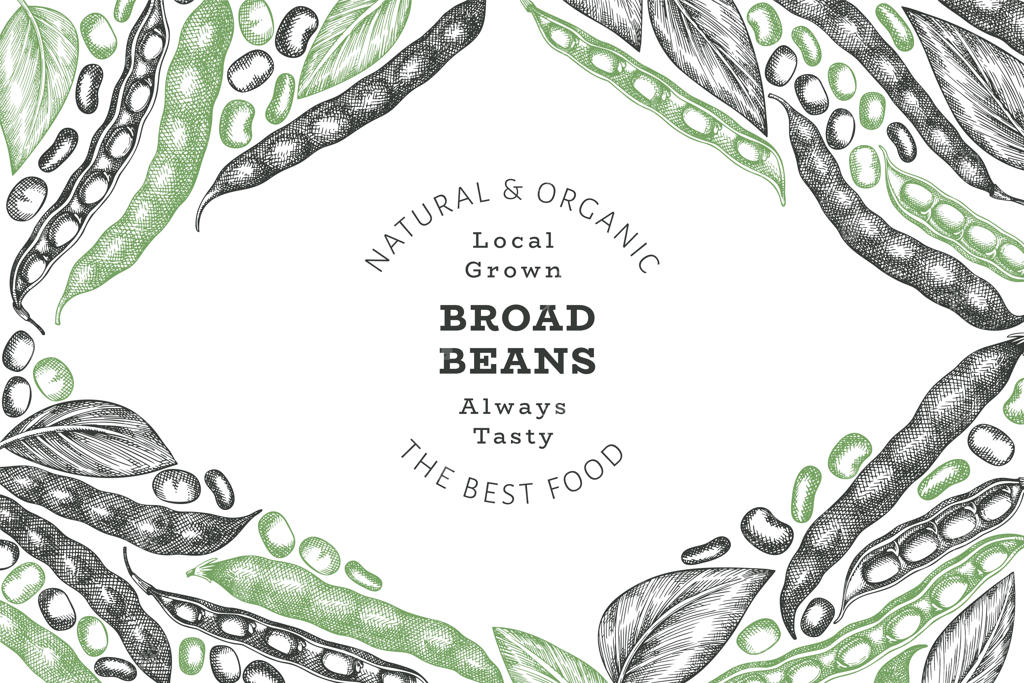 قالب بنر باقلا دست‌ساز