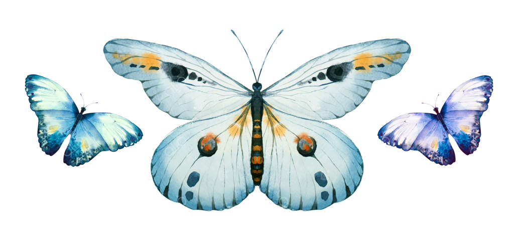 پروانه شهریار آبرنگی: پادشاه بال‌زن در بیدمشک