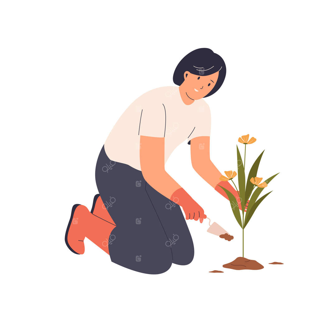 کاشتن گل‌ها در باغچه توسط یک نفر