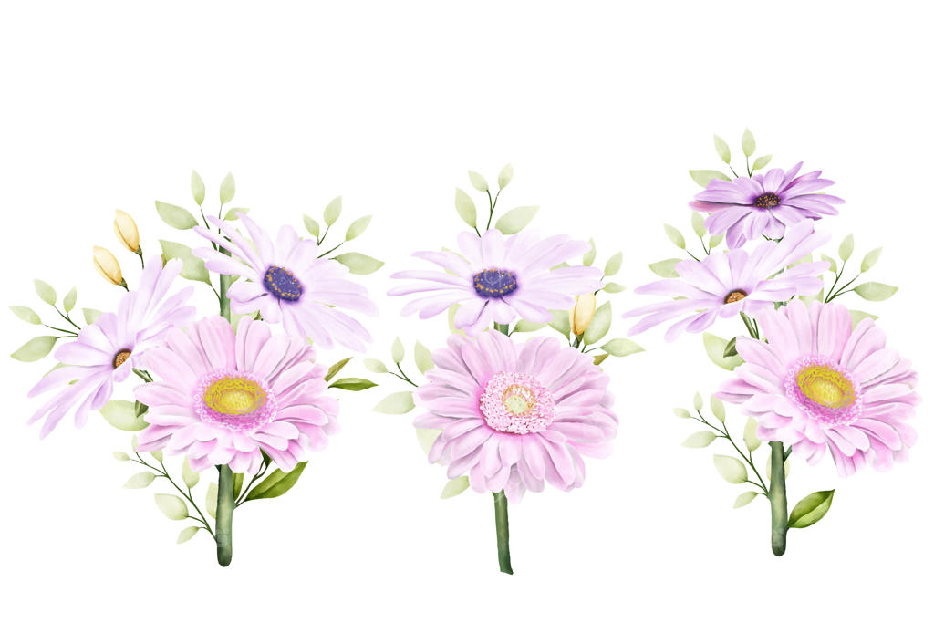 مجموعه گل داوودی با آبرنگ