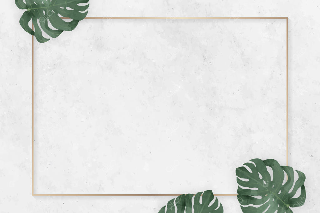 قاب مستطیل خالی با طرح برگ مونسترا (وکتور)