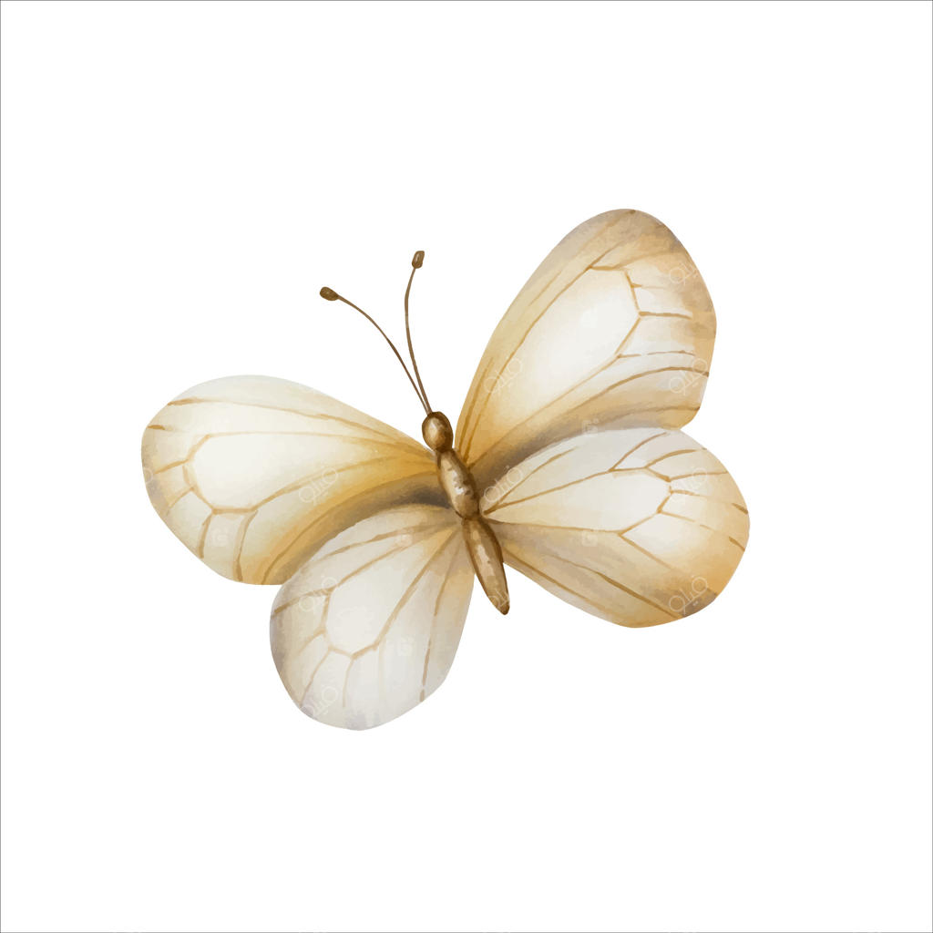 پروانه بوهو زیبا. کلیپ‌آرت دست‌کشیده آبرنگی از حشره بژ در پس‌زمینه. تصویرسازی گیاهی و عروسی. مناسب برای طراحان، دعوت‌نامه‌ها، تزیینات، کارت‌پستال‌ها و بسته‌بندی‌ها.