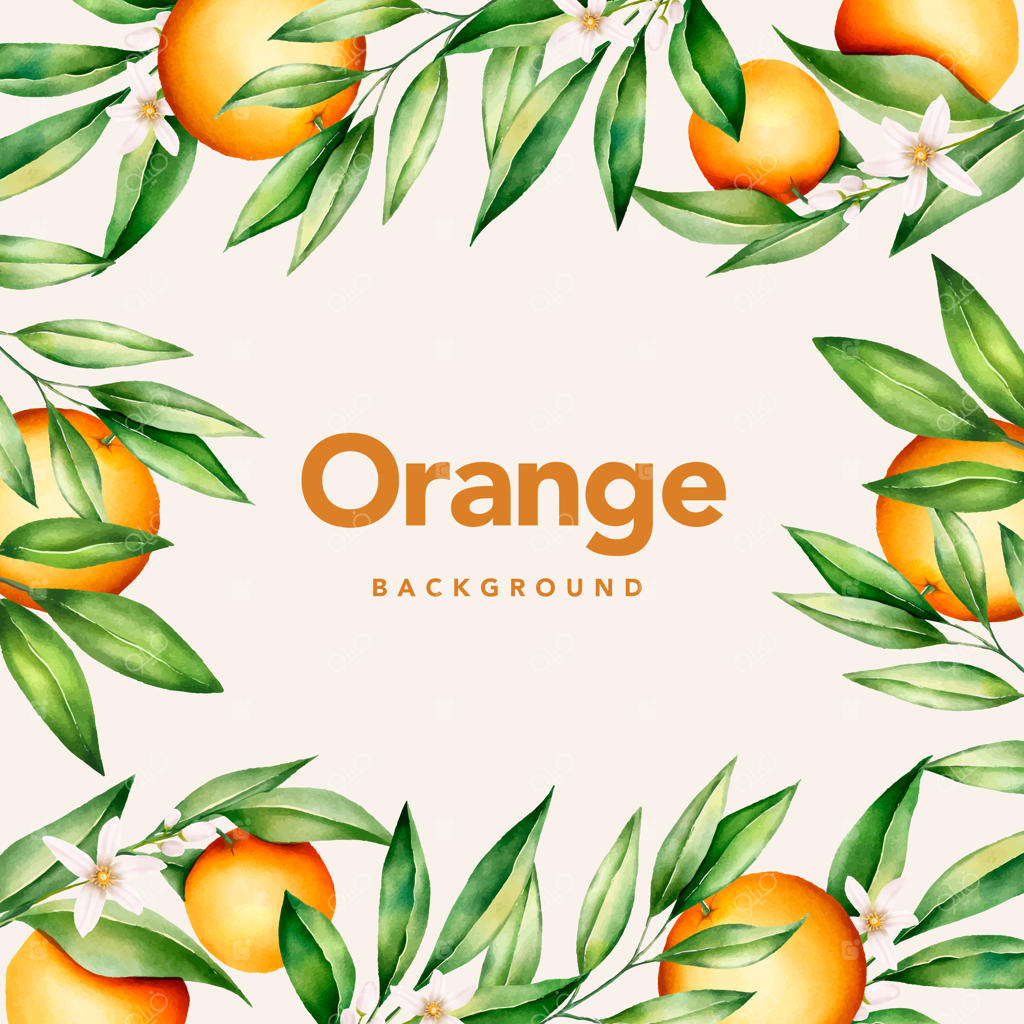 قالب کارت دعوت عروسی با طرح آبرنگی میوه‌های پرتقال و گل‌های گیاهی