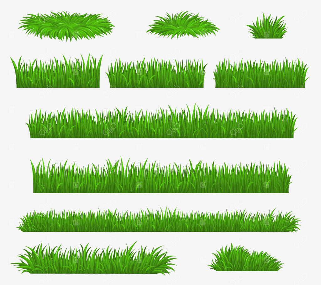 چمن سبز، رسانه‌ها و برگ‌های علف در مزرعه