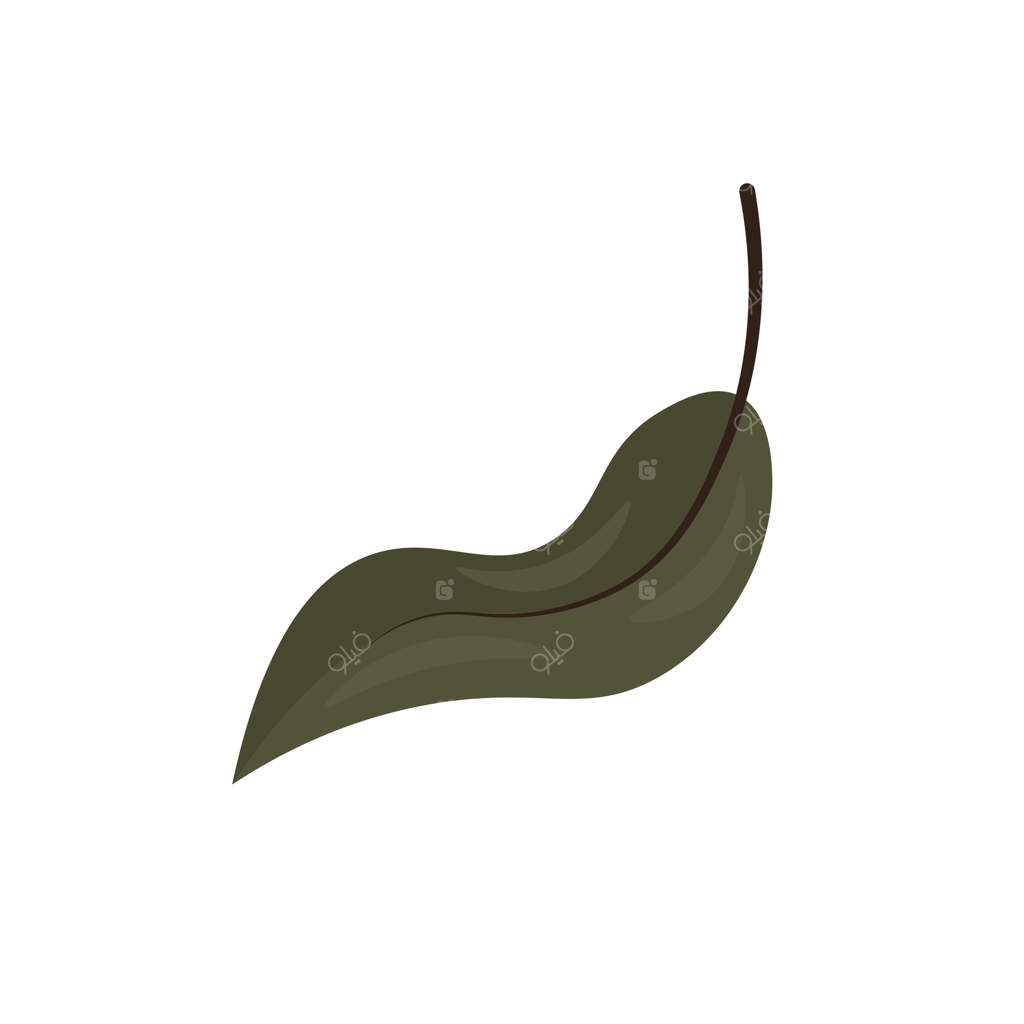 برگ سبز با طراحی تخت. گیاه برگ‌دار تابستانی در حال پرواز. تصویرسازی جداگانه.