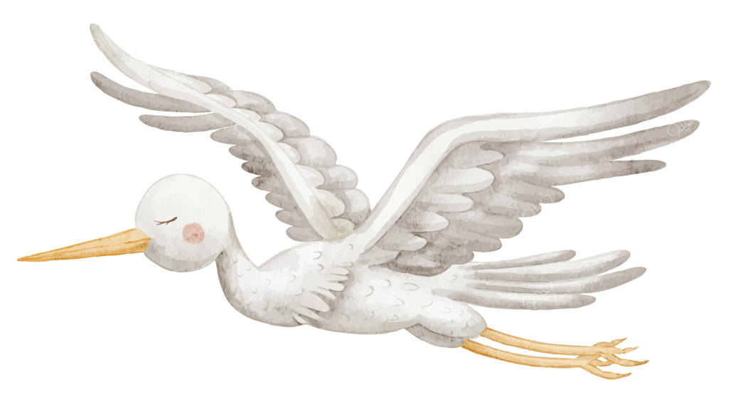 تصویر آبرنگی از لک‌لک در حال پرواز با بال‌های باز و منقار بلند. طراحی دستی پرنده نماد تحویل نوزاد برای دعوت‌نامه‌های حمام بچه یا کارت‌های تبریک کودکانه در رنگ‌های ملایم