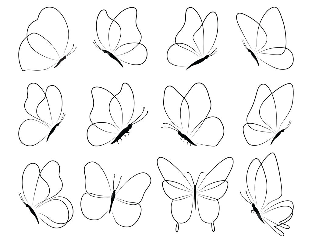 مجموعه پروانه‌های سیاه در پس‌زمینه سفید؛ کلکسیون طرح‌های سایه‌نمای پروانه