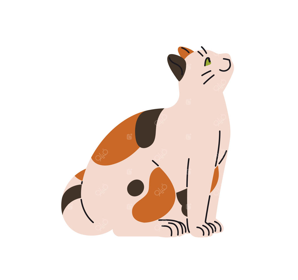 وکتور گربه سه‌رنگ و بامزه در حال تماشا و نشسته به صورت نیم‌رخ؛ بچه گربه خوشحال که درخواست توجه و نوازش دارد، تصویرسازی تخت و ایزوله روی پس‌زمینه سفید