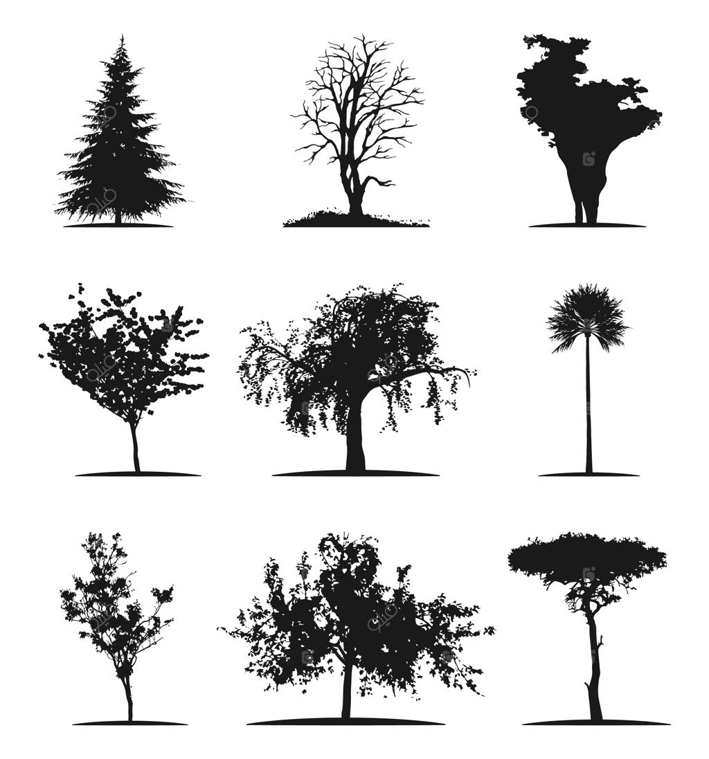 تصویرسازی سیلوئت سیاه درخت