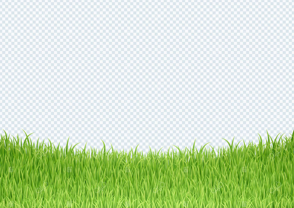 پس‌زمینه حاشیه پایینی با لبه‌های سبز ساده علفزار