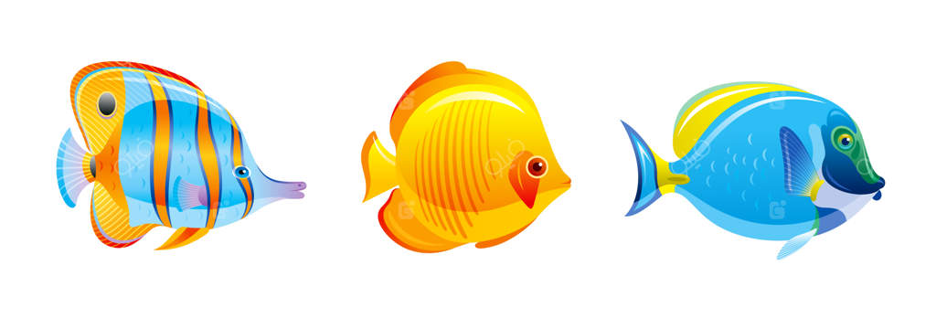مجموعه ماهی‌های گرمسیری. آیکون‌های وکتور آکواریوم یا دریا. حیوانات صخره‌های مرجانی زیر آب. مجموعه‌ای از موجودات دریایی مجزا.