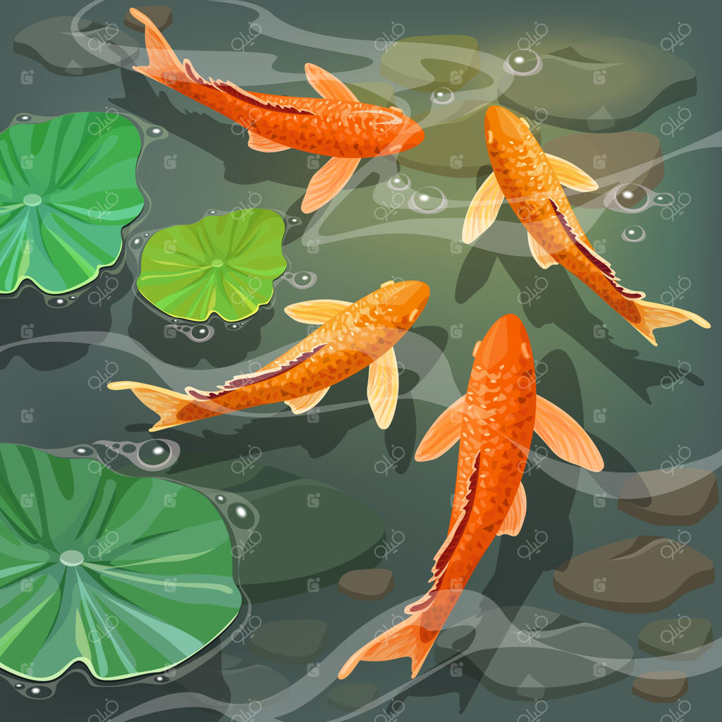 کارتون ماهی‌های کوی.