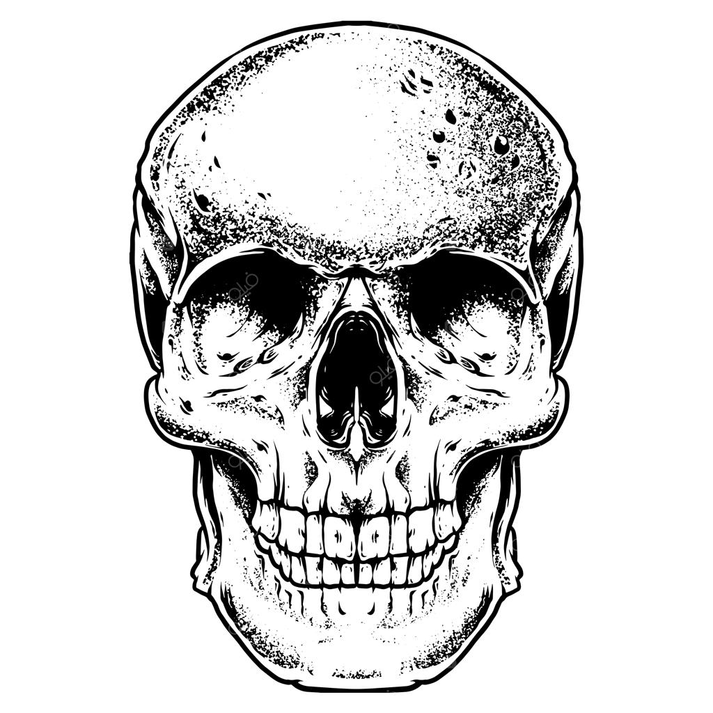 تصویر حکاکی روی جمجمه